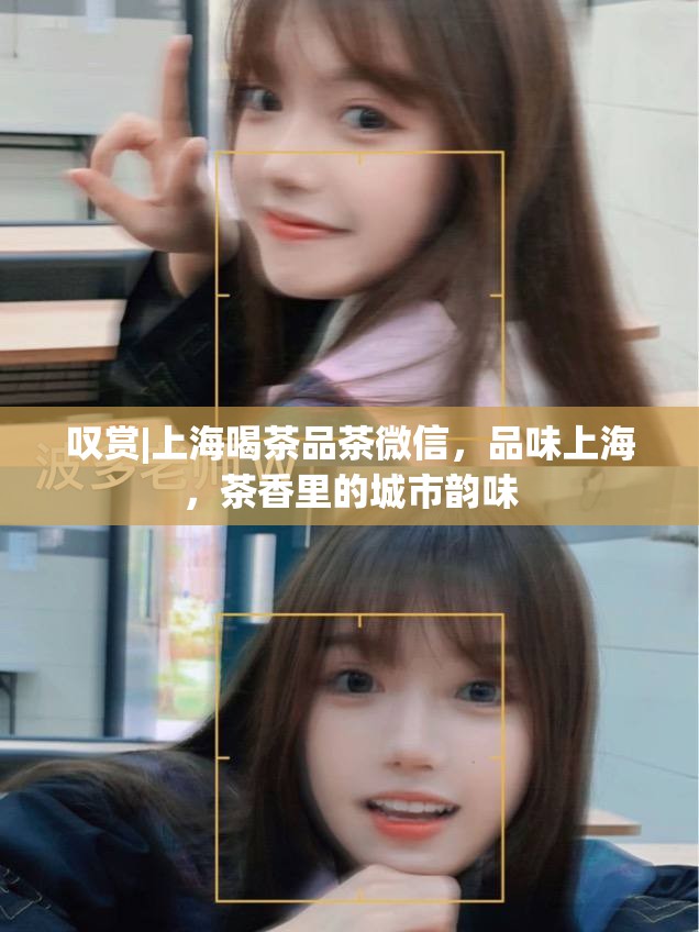 叹赏|上海喝茶品茶微信，品味上海，茶香里的城市韵味