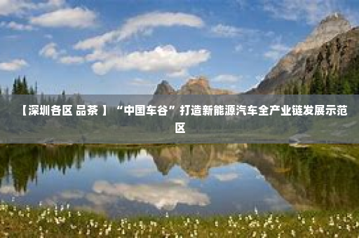 【深圳各区 品茶 】“中国车谷”打造新能源汽车全产业链发展示范区