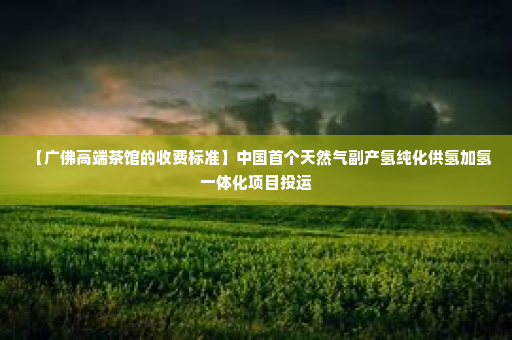 【广佛高端茶馆的收费标准】中国首个天然气副产氢纯化供氢加氢一体化项目投运