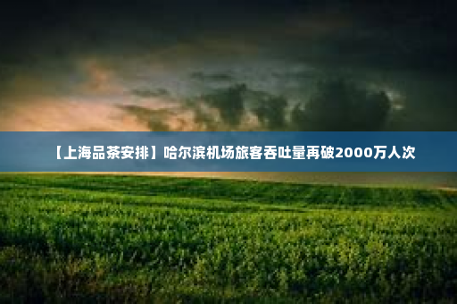 【上海品茶安排】哈尔滨机场旅客吞吐量再破2000万人次