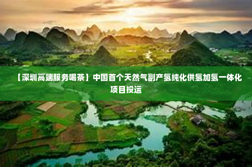 【深圳高端服务喝茶】中国首个天然气副产氢纯化供氢加氢一体化项目投运