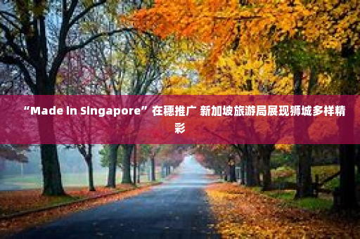 “Made in Singapore”在穗推广 新加坡旅游局展现狮城多样精彩