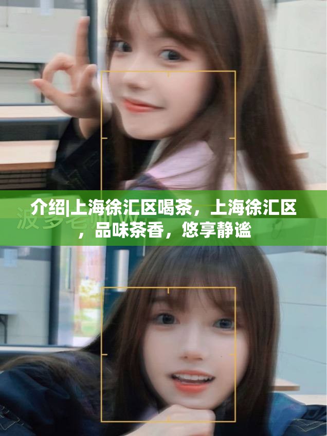 介绍|上海徐汇区喝茶，上海徐汇区，品味茶香，悠享静谧