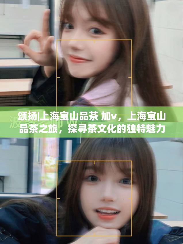 颂扬|上海宝山品茶 加v，上海宝山品茶之旅，探寻茶文化的独特魅力