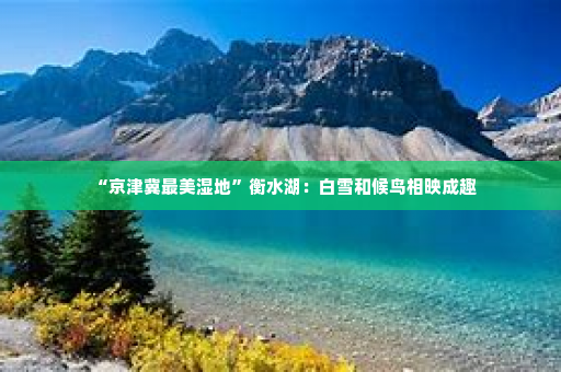 “京津冀最美湿地”衡水湖：白雪和候鸟相映成趣