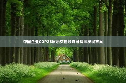 中国企业COP28展示交通领域可持续发展方案