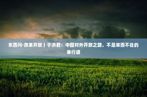 东西问·改革开放丨于洪君：中国对外开放之路，不是来而不往的单行道