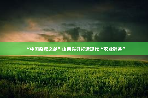 “中国杂粮之乡”山西兴县打造现代“农业硅谷”