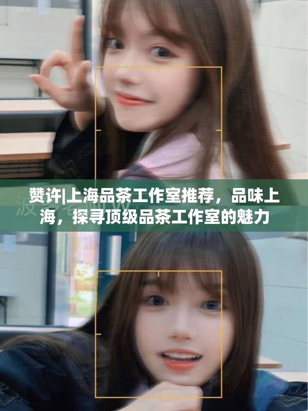 赞许|上海品茶工作室推荐，品味上海，探寻顶级品茶工作室的魅力