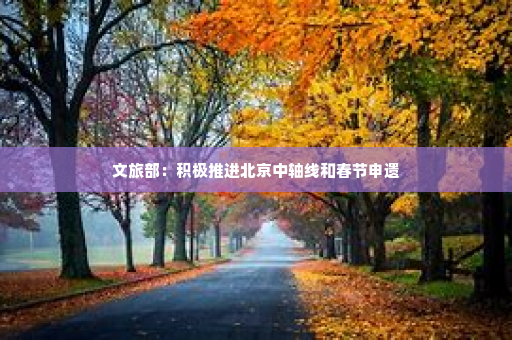 文旅部：积极推进北京中轴线和春节申遗