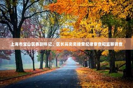 上海市宝山区委副书记、区长高奕奕接受纪律审查和监察调查