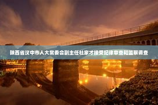 陕西省汉中市人大常委会副主任杜家才接受纪律审查和监察调查