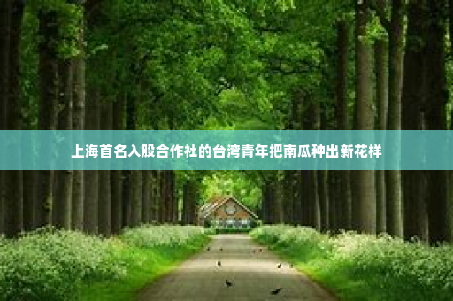 上海首名入股合作社的台湾青年把南瓜种出新花样