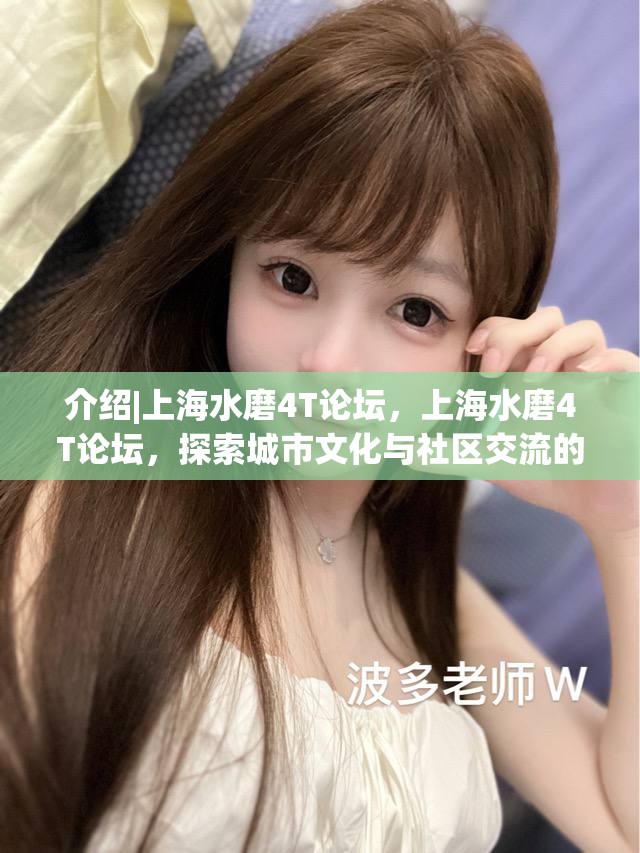 介绍|上海水磨4T论坛，上海水磨4T论坛，探索城市文化与社区交流的独特平台