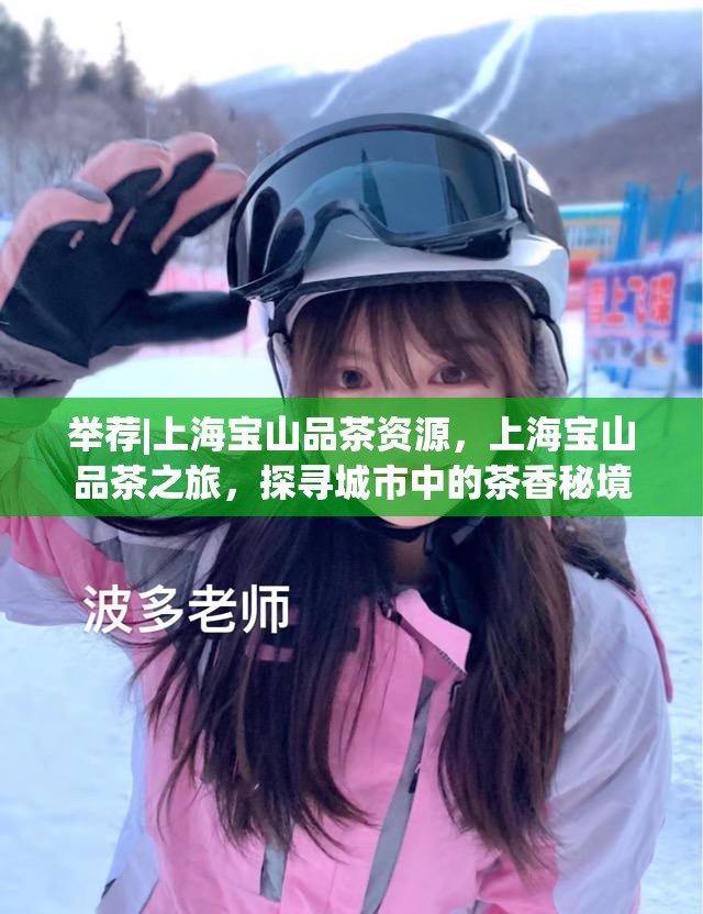 举荐|上海宝山品茶资源，上海宝山品茶之旅，探寻城市中的茶香秘境