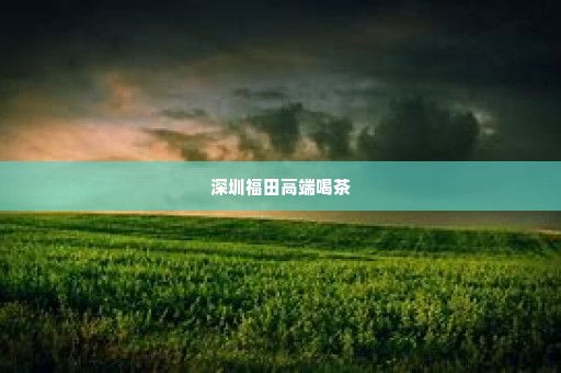 深圳福田高端喝茶