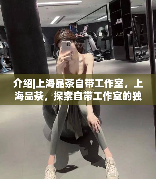介绍|上海品茶自带工作室，上海品茶，探索自带工作室的独特魅力