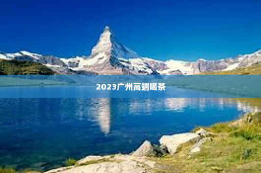 2023广州高端喝茶