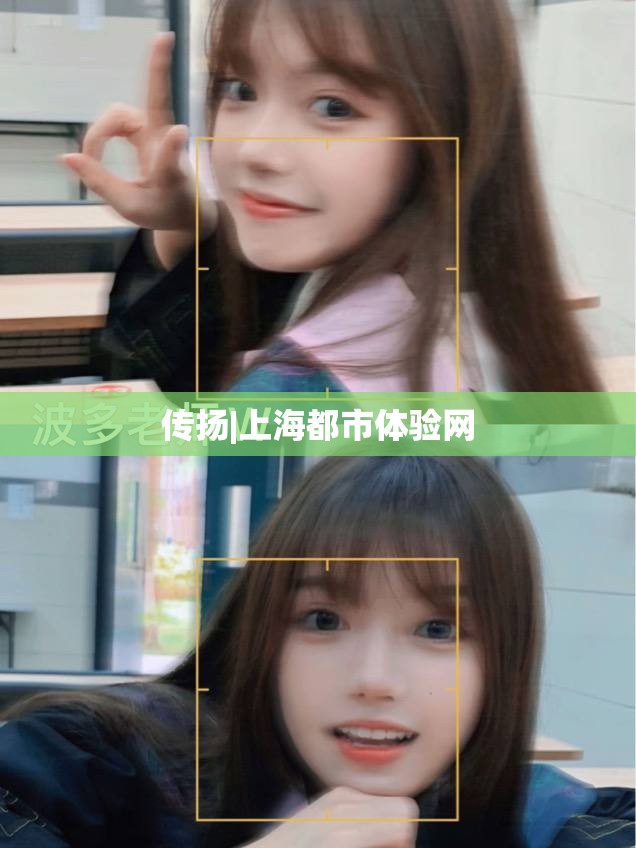 传扬|上海都市体验网
