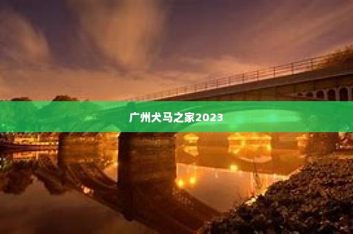 广州犬马之家2023