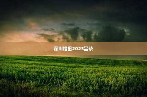 深圳福田2023品茶