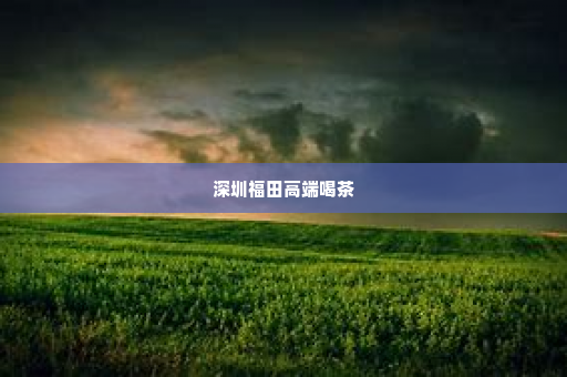 深圳福田高端喝茶