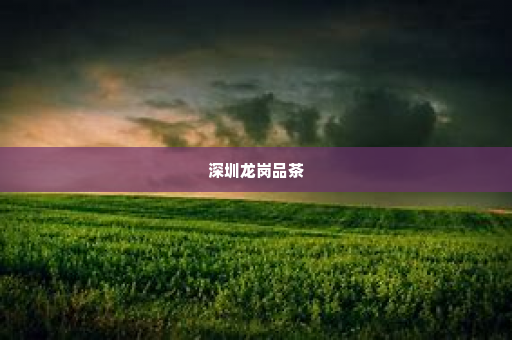 深圳龙岗品茶