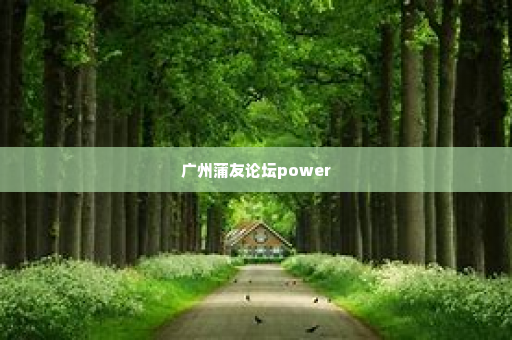 广州蒲友论坛power