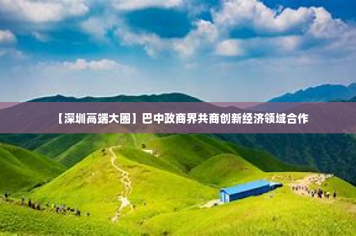 【深圳高端大圈】巴中政商界共商创新经济领域合作