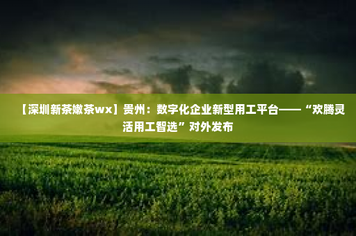 【深圳新茶嫩茶wx】贵州：数字化企业新型用工平台——“欢腾灵活用工智选”对外发布