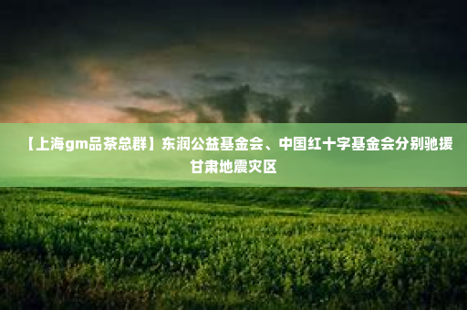 【上海gm品茶总群】东润公益基金会、中国红十字基金会分别驰援甘肃地震灾区
