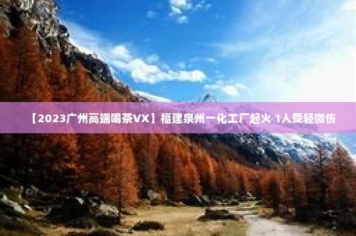 【2023广州高端喝茶VX】福建泉州一化工厂起火 1人受轻微伤