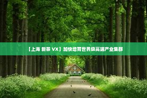 【上海 新茶 VX】加快培育世界级高端产业集群