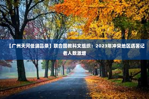 【广州天河低端品茶】联合国教科文组织：2023年冲突地区遇害记者人数激增