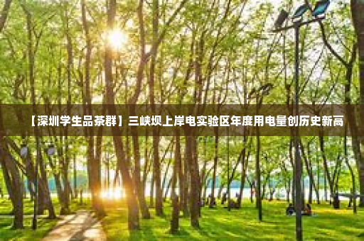 【深圳学生品茶群】三峡坝上岸电实验区年度用电量创历史新高