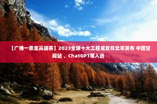 【广佛一条龙高端茶】2023全球十大工程成就在北京发布 中国空间站 、ChatGPT等入选