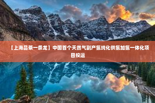 【上海品茶一条龙】中国首个天然气副产氢纯化供氢加氢一体化项目投运