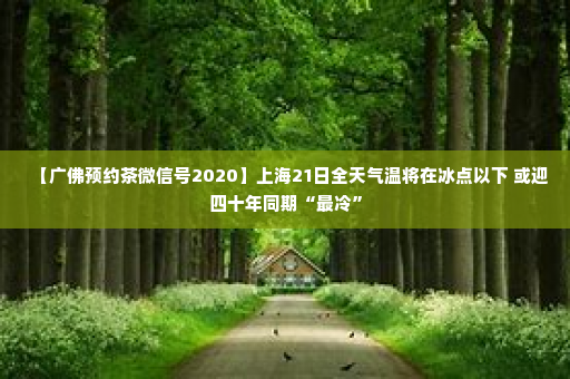 【广佛预约茶微信号2020】上海21日全天气温将在冰点以下 或迎四十年同期“最冷”