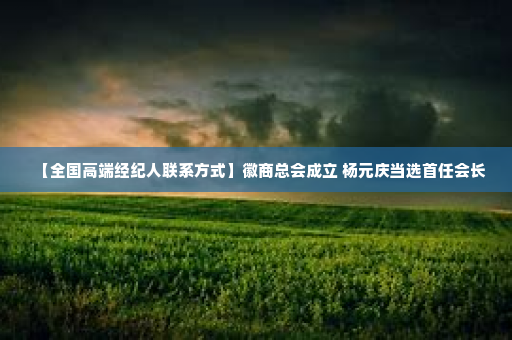 【全国高端经纪人联系方式】徽商总会成立 杨元庆当选首任会长