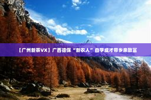 【广州新茶VX】广西德保“新农人”自学成才带乡亲致富