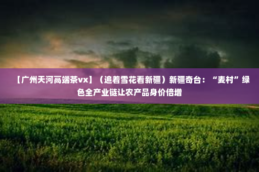 【广州天河高端茶vx】（追着雪花看新疆）新疆奇台：“麦村”绿色全产业链让农产品身价倍增