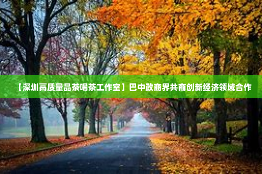 【深圳高质量品茶喝茶工作室】巴中政商界共商创新经济领域合作