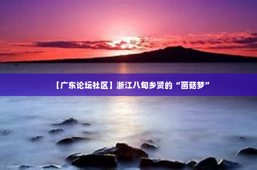【广东论坛社区】浙江八旬乡贤的“菌菇梦”