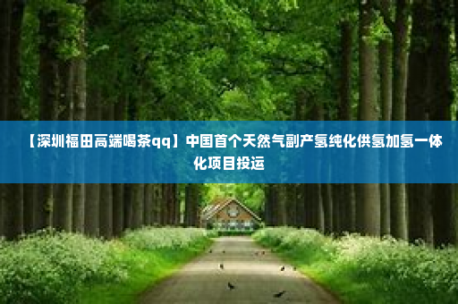 【深圳福田高端喝茶qq】中国首个天然气副产氢纯化供氢加氢一体化项目投运