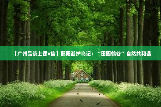 【广州品茶上课v信】鄱阳湖护鸟记：“田园鹤谷”自然共和谐