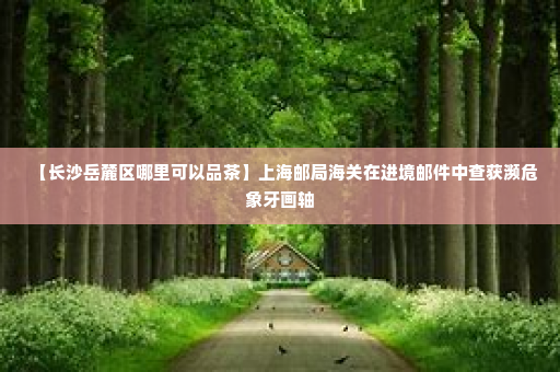 【长沙岳麓区哪里可以品茶】上海邮局海关在进境邮件中查获濒危象牙画轴