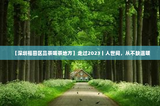 【深圳福田区品茶喝茶地方】走过2023丨人世间，从不缺温暖