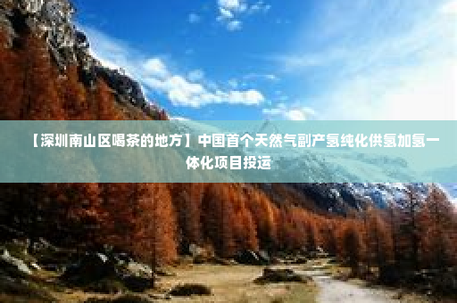 【深圳南山区喝茶的地方】中国首个天然气副产氢纯化供氢加氢一体化项目投运