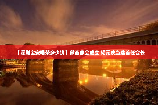 【深圳宝安喝茶多少钱】徽商总会成立 杨元庆当选首任会长